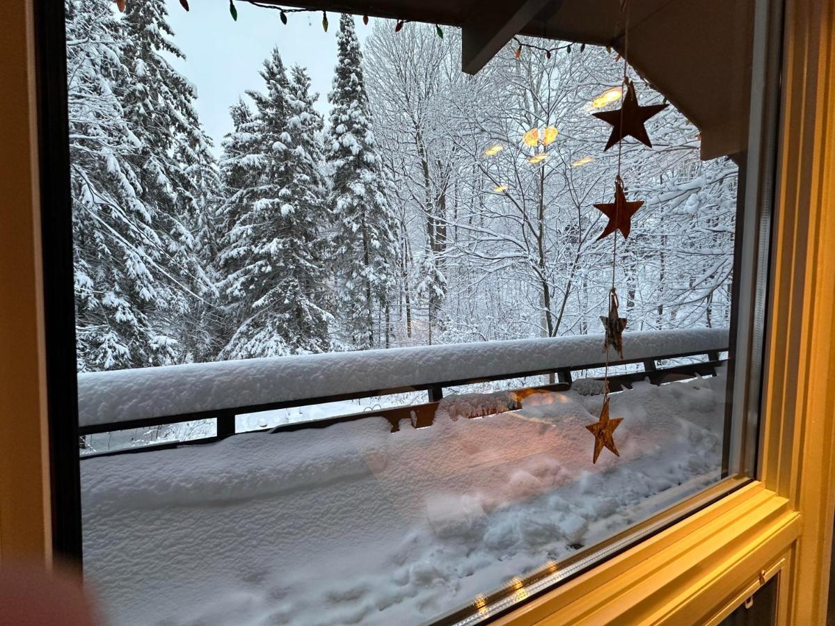 Chalet Dans Les Arbres. 3 Ch. /Trees House 3Bdr Lac Sainte-Marie エクステリア 写真